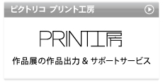 ピクトリコプリント工房PRO