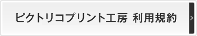 ピクトリコプリント工房 利用規約