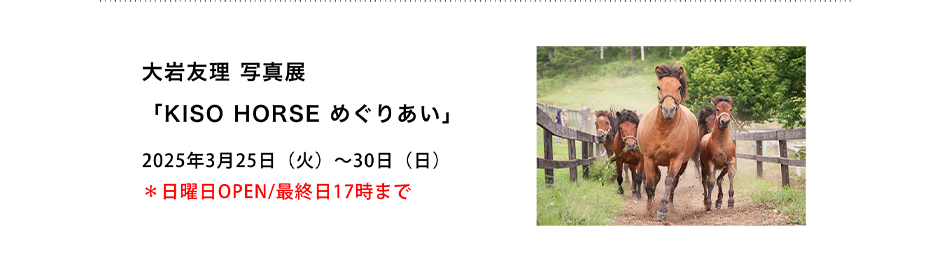 PICTORICO SHOP&GALLERY 大岩友理 写真展 「KISO HORSE めぐりあい」