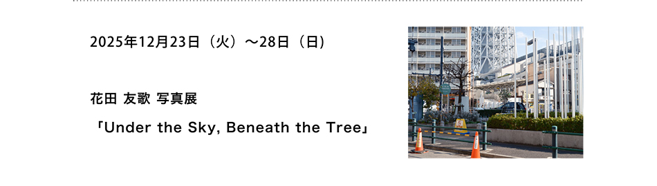 PICTORICO SHOP&GALLERY 花田 友歌 写真展 「Under the Sky, Beneath the Tree」