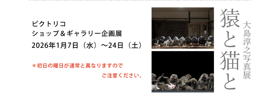 PICTORICO SHOP&GALLERY企画展 大島 淳之 写真展「猿と猫と」