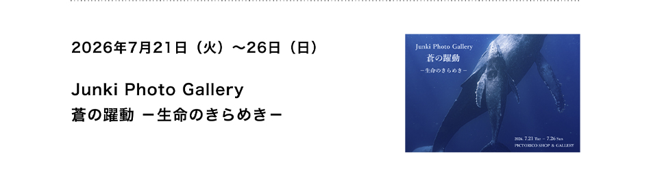 PICTORICO SHOP&GALLERY Junki Photo Gallery 蒼の躍動 －生命のきらめき－