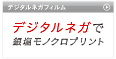 デジタルネガフィルムで銀塩モノクロプリント